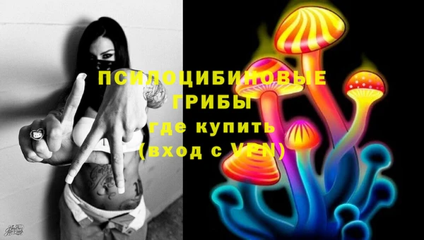 стаф Богородицк