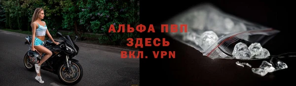 стаф Богородицк